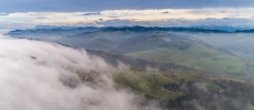 0859 Nebel Wolken Wasen Alpen