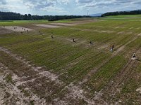 DJI 20240821163207 0037 D : single