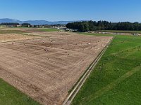 DJI 20240824101725 0007 D : single