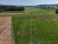 DJI 20240824102053 0010 D : single
