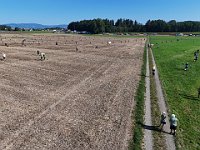 DJI 20240824102341 0015 D : single
