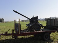 MG 8137