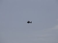 MG 8202