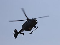 MG 8204