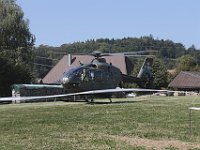 MG 8210