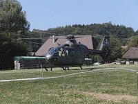 MG 8211