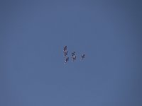 MG 8308