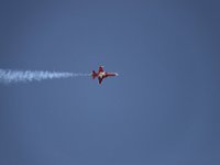 MG 8342