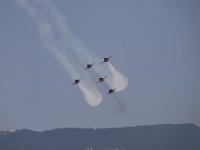 MG 8384