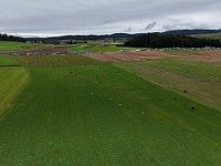 DJI 20240825111335 0007 D : single