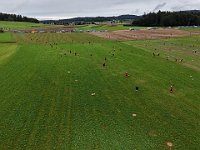 DJI 20240825111413 0008 D : single