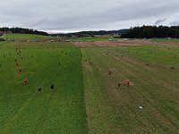 DJI 20240825111442 0010 D : single