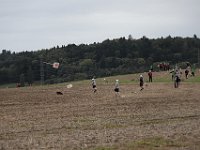 MG 8981