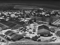 DJI 20240831123351 0003 T : single