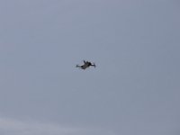 MG 0068 Drohne